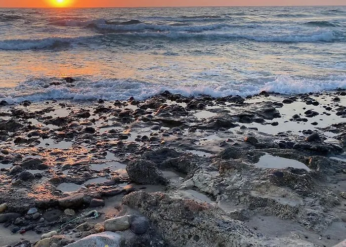 Fourtounis Отель 2*